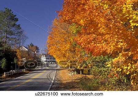 Fitzwilliam, New Hampshire, NH, Colorful fall foliage along the road in Fitzwilliam in the autumn. View Large Photo Image Stock Image - Fitzwilliam, New Hampshire, NH, Colorful fall foliage along the road in Fitzwilliam in the autumn.. Fotosearch