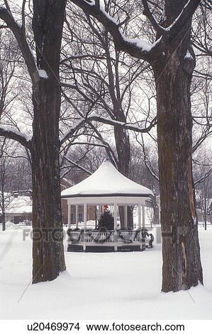 Picture -  gazebo, winter, holiday, snow, decorations, The gazebo on the Green surrounded by trees is decorated with a Christmas tree for the holiday season on a snow covered day in the village of Weston in Windsor County in the state of Vermont. . Fotosearch