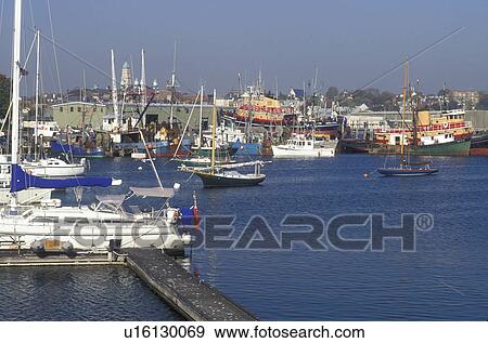 Gloucester, MA, Massachusetts, Fishing boats moored at the marina in the Inner Harbor of Rocky Neck in Gloucester in the fall. View Large Photo Image Stock Photo - Gloucester, MA, Massachusetts, Fishing boats moored at the marina in the Inner Harbor of Rocky Neck in Gloucester in the fall.. Fotosearch