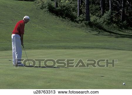 golf, man, spring, Northfield, VT, Vermont, Senior man in red sweater putts on the green at Northfield Golf Course in Northfield in the spring. View Large Photo Image Stock Image - golf, man, spring, Northfield, VT, Vermont, Senior man in red sweater putts on the green at Northfield Golf Course in Northfield in the spring.. Fotosearch