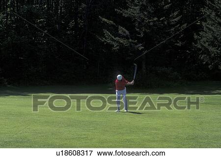 golfing, spring, Northfield, VT, Vermont, Senior man in red sweater swings golf club at Northfield Golf Course in Northfield in the spring. View Large Photo Image Stock Photo - golfing, spring, Northfield, VT, Vermont, Senior man in red sweater swings golf club at Northfield Golf Course in Northfield in the spring.. Fotosearch
