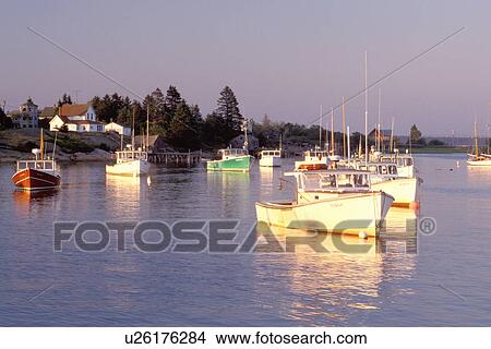 Picture -  harbor, Maine, Corea, ME, Lobster boats in the early morning light in the scenic harbor of the fishing village of Corea.. Fotosearch