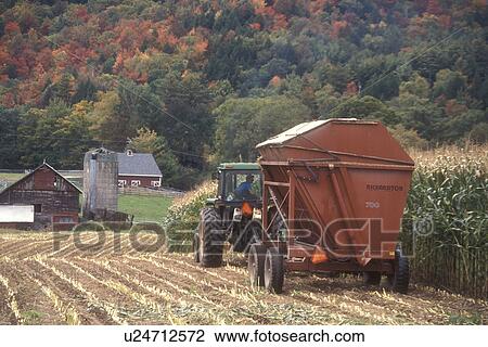 Stock Image -  harvest, farming, fall, Middlesex, VT, Vermont, Farmer cutting his cornfield with a tractor in autumn surrounded by colorful fall foliage.. Fotosearch