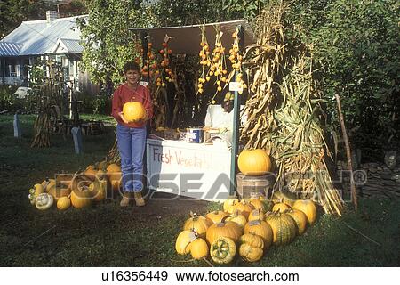 Stock Photo -  harvest, market, pumpkins, autumn, A 10 year old girl holds a pumpkin in her hands in front of a farmstand in the fall in Worcester in Washington County in the state of Vermont.. Fotosearch