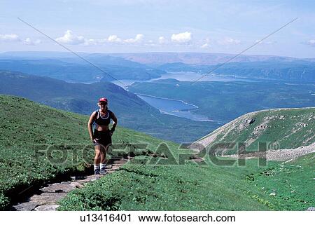 hiking, Newfoundland, NF, Canada, Woman hiking on the Summit Trail to Gros Morne Mountain in Gros Morne National Park. View Large Photo Image Stock Image - hiking, Newfoundland, NF, Canada, Woman hiking on the Summit Trail to Gros Morne Mountain in Gros Morne National Park. . Fotosearch