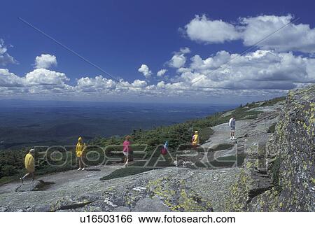 hiking, Vermont, VT, People hiking the Long Trail on the summit of Mt. Mansfield in Stowe. View Large Photo Image Stock Photograph - hiking, Vermont, VT, People hiking the Long Trail on the summit of Mt. Mansfield in Stowe.. Fotosearch