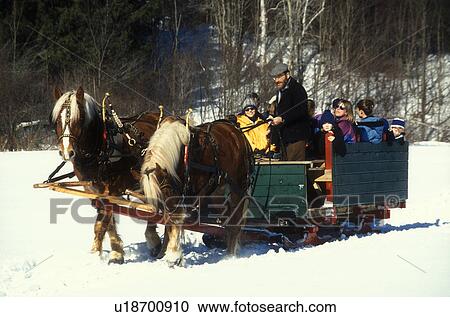 Stock Image -  horse and sleigh, sleigh ride, Vermont, VT, Sleigh ride at Mad River Valley Winter Carnival at Lareau Farm in Waitsfield. . Fotosearch