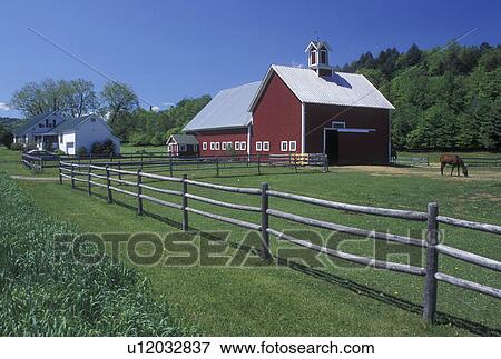 horse, farm, spring, Moretown, VT, Vermont, Horse grazing in fenced in pasture with red barn in the spring in Moretown. View Large Photo Image Stock Photo - horse, farm, spring, Moretown, VT, Vermont, Horse grazing in fenced in pasture with red barn in the spring in Moretown.. Fotosearch
