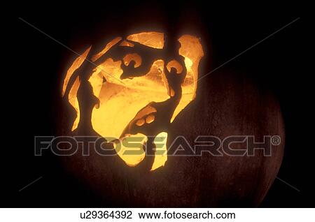 Stock Image -  Jack-O-Lantern, Halloween, close-up, pumpkin, display, autumn, fall decoration, A close up of a carved scary glowing jack-o-lantern decorated at night for Halloween at Settlement Farm Pumpkin Show in Middlesex in Washington County in the state of Vermont. Fotosearch