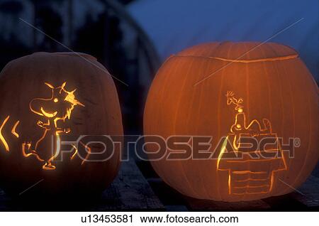 Jack-O-Lantern, pumpkin, Halloween, Snoopy, display, autumn, fall decorations, Two carved glowing jack-o-lanterns decorated like Snoopy character in the evening for Halloween at Settlement Farm Pumpkin Show in Middlesex in Washington County in the state View Large Photo Image Stock Image - Jack-O-Lantern, pumpkin, Halloween, Snoopy, display, autumn, fall decorations, Two carved glowing jack-o-lanterns decorated like Snoopy character in the evening for Halloween at Settlement Farm Pumpkin Show in Middlesex in Washington County in the state . Fotosearch