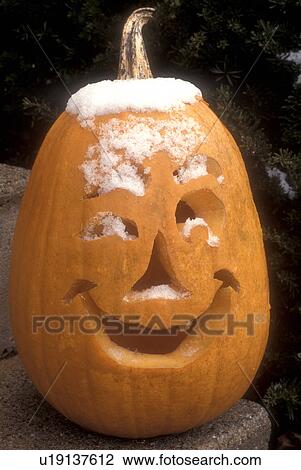 jack-o-lantern, pumpkin, Halloween, decoration, display, autumn, Dusting of snow on top of a jack-o-lantern with a smiling face in the state of Vermont. View Large Photo Image Stock Image - jack-o-lantern, pumpkin, Halloween, decoration, display, autumn, Dusting of snow on top of a jack-o-lantern with a smiling face in the state of Vermont. . Fotosearch