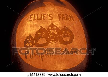 Jack-O-Lantern, pumpkin, Halloween, fall decoration, display, autumn, Carved glowing pumpkin decorated for Halloween advertising Ellie's Farm Pumpkin Show in Northfield in Washington County in the state of Vermont. View Large Photo Image Stock Photo - Jack-O-Lantern, pumpkin, Halloween, fall decoration, display, autumn, Carved glowing pumpkin decorated for Halloween advertising Ellie's Farm Pumpkin Show in Northfield in Washington County in the state of Vermont. . Fotosearch