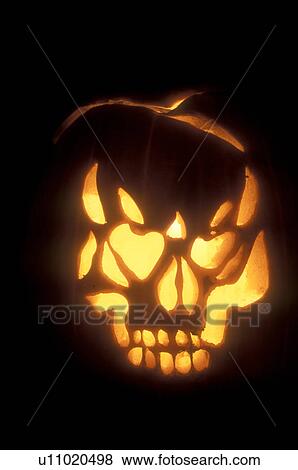 Stock Photo -  Jack-O-Lanterns, close-up, Halloween, pumpkin, display, autumn, fall decoration, A close up jack-o-lantern carved like a glowing scary skull decorated at night for Halloween at Settlement Farm Pumpkin Show in Middlesex in Washington County in the state o. Fotosearch