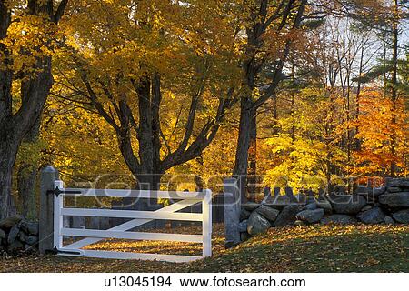Picture -  Jaffrey Center, New Hampshire, NH, A stone wall surrounds a cemetery with a white gate as the entrance in Jaffrey Center in the autumn.. Fotosearch