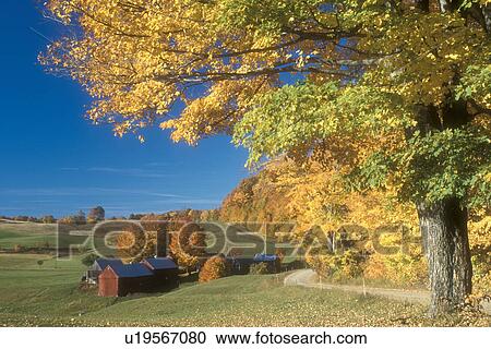 Stock Image -  Jenne farm, country road, fall, Reading, VT, Vermont, Scenic view of Jenne Farm in Reading in autumn.. Fotosearch