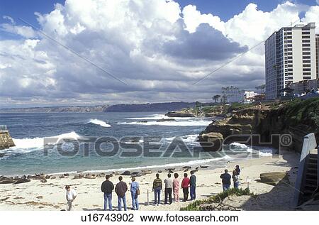 Stock Image -  La Jolla, California, CA, People watching seals on the beach at the Children's Pool in La Jolla on the Pacific Ocean.. Fotosearch