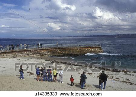 Stock Photo -  La Jolla, California, CA, People watching seals sleeping on the beach at the Children's Pool in La Jolla on the Pacific Ocean.. Fotosearch