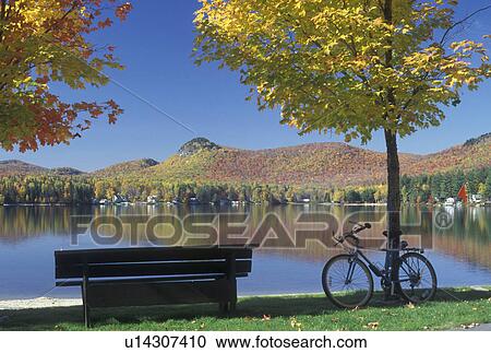 lake, bench, bike, fall, Groton State Forest, VT, Vermont, Empty park bench and bike leaning on a tree on Boulder Beach on Lake Groton in Groton State Forest in the autumn. View Large Photo Image Stock Image - lake, bench, bike, fall, Groton State Forest, VT, Vermont, Empty park bench and bike leaning on a tree on Boulder Beach on Lake Groton in Groton State Forest in the autumn.. Fotosearch