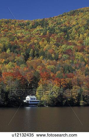 Lake Cabin Fall Barnet Vt Vermont Summer Cottage Surrounded