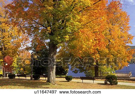 Lake George, New York, NY, Adirondacks, Shepard Park on Lake George in the autumn. View Large Photo Image Stock Photo - Lake George, New York, NY, Adirondacks, Shepard Park on Lake George in the autumn.. Fotosearch