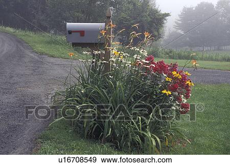 mailbox, Vermont, VT, Flowers around a mailbox along a country road in the fog in Berlin. View Large Photo Image Stock Photo - mailbox, Vermont, VT, Flowers around a mailbox along a country road in the fog in Berlin.. Fotosearch