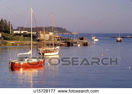 Stock Photo -  Maine, Corea, ME, Boats buoyed in the harbor of Corea.. Fotosearch