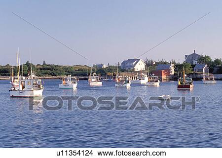 Picture -  Maine, Corea, ME, Lobster boats in the scenic harbor of the fishing village of Corea.. Fotosearch