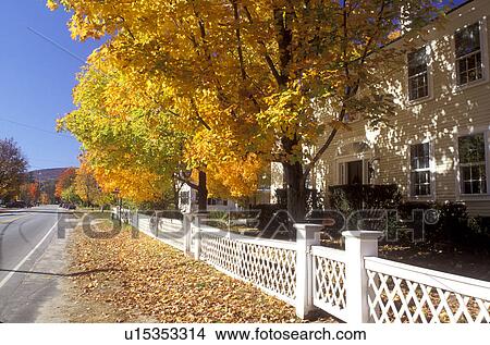 maple tree, fall, Hancock, NH, New Hampshire, Colorful maple trees surround a house with a white fence along a road in the town of Hancock in the autumn. View Large Photo Image Picture - maple tree, fall, Hancock, NH, New Hampshire, Colorful maple trees surround a house with a white fence along a road in the town of Hancock in the autumn.. Fotosearch