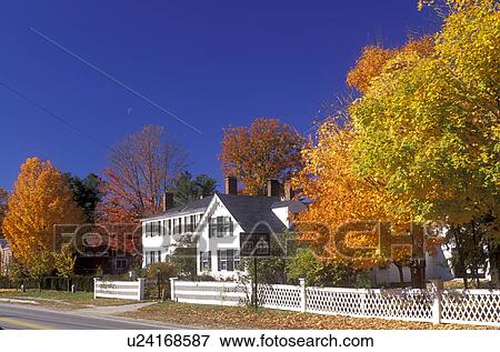 Stock Photo -  maple tree, fall, Hancock, NH, New Hampshire, Colorful maple trees surround a house with a white fence along a road in the town of Hancock in the autumn.. Fotosearch