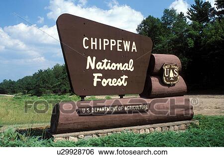 MN, Minnesota, The entrance sign to Chippewa National Forest, View Large Photo Image Stock Photograph - MN, Minnesota, The entrance sign to Chippewa National Forest, . Fotosearch