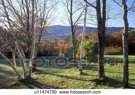 Stock Image -  Monadnock State Park, Mt. Monadnock, New Hampshire, NH, View of Mount Monadnock from Monadock State Park in the autumn.. Fotosearch