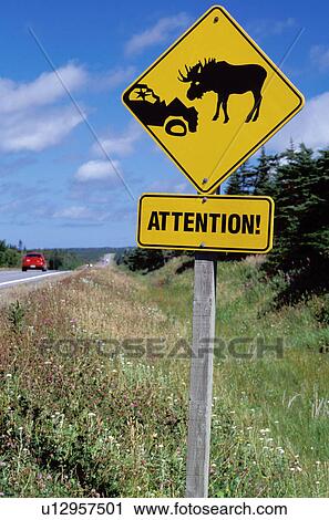 Stock Image -  moose, caution sign, Newfoundland, NF, Canada, Attention Moose, sign, road sign. Fotosearch