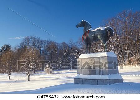 morgan horse, UVM Morgan Horse Farm, snow, winter, holiday, decorations, A statue of a Morgan Horse, America's first breed of horse, is decorated with a red bow for Christmas at the University of Vermont Morgan Horse Farm in Middlebury in Addison County View Large Photo Image Stock Image - morgan horse, UVM Morgan Horse Farm, snow, winter, holiday, decorations, A statue of a Morgan Horse, America's first breed of horse, is decorated with a red bow for Christmas at the University of Vermont Morgan Horse Farm in Middlebury in Addison County . Fotosearch