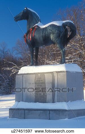 Stock Photo -  morgan horse, UVM Morgan Horse Farm, snow, winter, holiday, decorations, A statue of a Morgan Horse, America's first breed of horse, is decorated with a red bow for Christmas at the University of Vermont Morgan Horse Farm in Middlebury in Addison County . Fotosearch