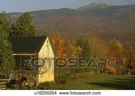 Mt. Monadnock, New Hampshire, NH, Horse in a pasture on a farm with Mount Monadnock in the distance in the autumn. View Large Photo Image Picture - Mt. Monadnock, New Hampshire, NH, Horse in a pasture on a farm with Mount Monadnock in the distance in the autumn.. Fotosearch