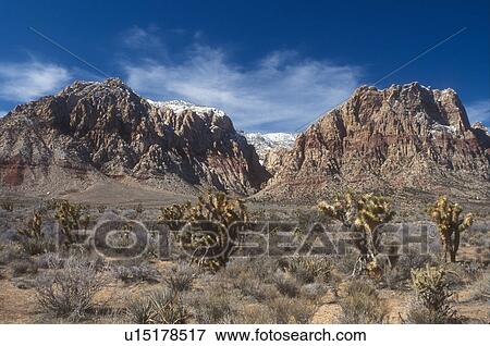 Stock Photo -  Nevada, NV, Red Rock Canyon National Conservation Area in Nevada . Fotosearch
