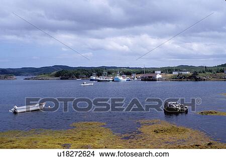 Newfoundland, NF, Canada, A fishing village at Purcell's Harbor on the Atlantic Ocean. View Large Photo Image Picture - Newfoundland, NF, Canada, A fishing village at Purcell's Harbor on the Atlantic Ocean. . Fotosearch
