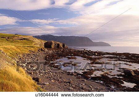 Picture -  Newfoundland, NF, Canada, Rocky coastline at low tide at Rocky Harbour on the Gulf of St. Lawrence. View of Gros Morne National Park.. Fotosearch