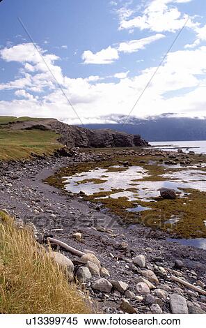 Newfoundland, NF, Canada, Rocky coastline at low tide at Rocky Harbour on the Gulf of St. Lawrence. View of Gros Morne National Park. View Large Photo Image Stock Photography - Newfoundland, NF, Canada, Rocky coastline at low tide at Rocky Harbour on the Gulf of St. Lawrence. View of Gros Morne National Park.. Fotosearch