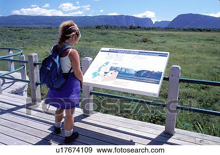 Stock Photo -  Newfoundland, NF, Canada, Woman at an overlook at Western Brook Pond in Gros Morne National Park. . Fotosearch