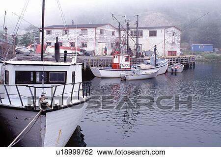 Stock Image -  Newfoundland, NF, St. John's, Canada, Quidi Vidi Village a 17th century fishing village in St. John's in the fog. Atlantic Ocean. Fotosearch