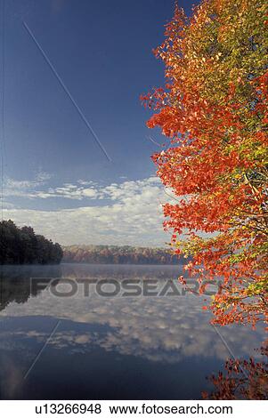 Stock Photo -  North Carolina, NC, Clouds reflect in the calm waters of Price Lake at Julian Price Memorial Park in the fall. Colorful red tree in foreground . Fotosearch