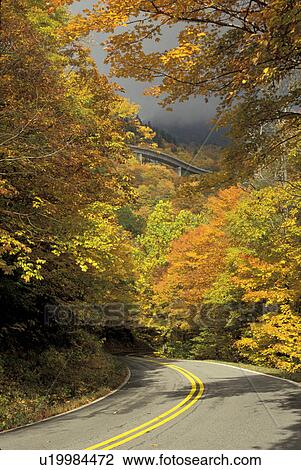 North Carolina, road, NC, View of Linn Cove Viaduct on the Blue Ridge Parkway in the fall. View Large Photo Image Stock Image - North Carolina, road, NC, View of Linn Cove Viaduct on the Blue Ridge Parkway in the fall.. Fotosearch