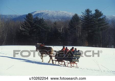 one horse open sleigh, Stowe, sleigh ride, Vermont, VT, Scenic sleigh ride at Charlie Horse Sleigh Rides in Stowe in winter. View Large Photo Image Picture - one horse open sleigh, Stowe, sleigh ride, Vermont, VT, Scenic sleigh ride at Charlie Horse Sleigh Rides in Stowe in winter. . Fotosearch