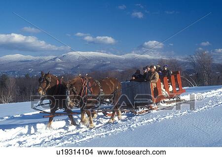 Picture -  open sleigh ride, Stowe, Vermont, VT, A team of horses pulls a red sleigh full of people through the snow covered field at Trapp Family Lodge in Stowe.. Fotosearch
