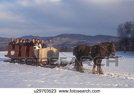open sleigh ride, Stowe, Vermont, VT, A team of horses pulls a red sleigh full of people through the snow covered field at Trapp Family Lodge in Stowe. View Large Photo Image Stock Image - open sleigh ride, Stowe, Vermont, VT, A team of horses pulls a red sleigh full of people through the snow covered field at Trapp Family Lodge in Stowe.. Fotosearch