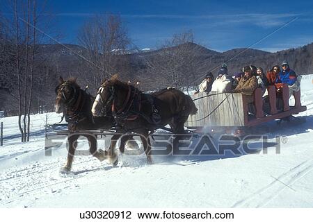 open sleigh ride, Stowe, Vermont, VT, A team of horses trots through the snow covered field pulling a red sleigh full of people at Trapp Family Lodge in Stowe. View Large Photo Image Stock Image - open sleigh ride, Stowe, Vermont, VT, A team of horses trots through the snow covered field pulling a red sleigh full of people at Trapp Family Lodge in Stowe.. Fotosearch