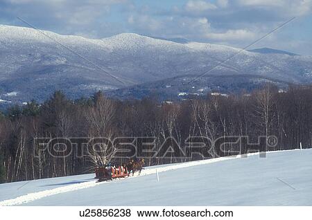 Stock Photo -  open sleigh ride, Stowe, Vermont, VT, A sleigh ride at Trapp Family Lodge in Stowe offers a beautiful scenic view of the mountains.. Fotosearch