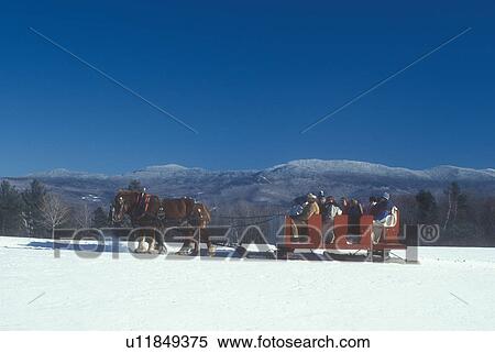 open sleigh ride, Stowe, Vermont, VT, A team of horses pulls a red sleigh full of people through the snow covered field at Trapp Family Lodge in Stowe. View Large Photo Image Stock Photography - open sleigh ride, Stowe, Vermont, VT, A team of horses pulls a red sleigh full of people through the snow covered field at Trapp Family Lodge in Stowe.. Fotosearch