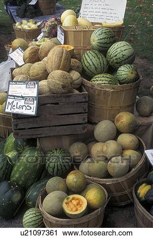 outdoor market, produce, Vermont, VT, Melons displayed in crates for sale at the Farmers Market in Waterbury. View Large Photo Image Stock Image - outdoor market, produce, Vermont, VT, Melons displayed in crates for sale at the Farmers Market in Waterbury. . Fotosearch